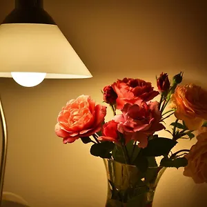 Apartamento Old Town Tyn, Praga